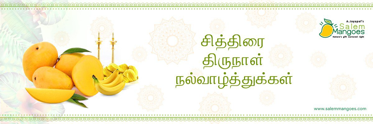 Salem Mangoes Chithirai Salem Mangoes